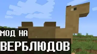 Обзор мода на верблюда для Майнкрафт 1.15.2