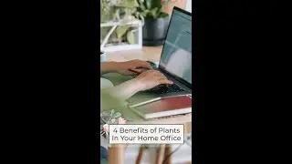 4 Benefits of Plants in Your Home Office | Health Benefits of Plants