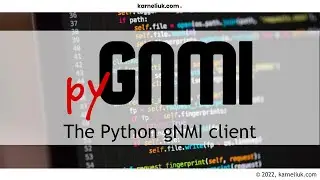 pygnmi. Demo of skip-verify feature