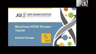 Amanda Gonzaga: MycoCosm KEGG Tutorial