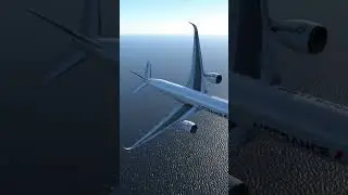 XP-12 Airbus A350 Passengers Screaming