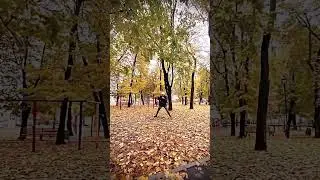 22 октября 2023 г.