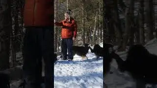 My Dogs Humping In The Background Good Grief! 