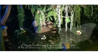 Eden Premium Area in Paradise Day Spa
