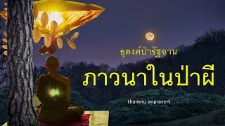 ๒๗๔.ภาวนาในป่าผี ธุดงค์ป่ารัฐฉาน