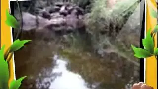 pontos turisticos de florianopolis