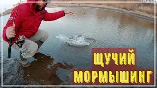 Рыбалка на мормышинг/щуки/ леска Cottus Power 0.074мм.