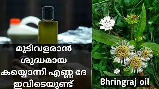Hair Oil For Hair Growth#bhringaraj