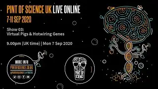 Virtual Pigs and Hotwiring Genes