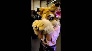 Booping furries at Comic con