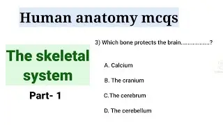 Human anatomy mcqs with answers|| human skeletal system