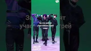 За что хейтят участников стрей кидс 