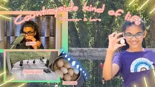 Countryside things| cutting grocery expenses + updating the mini gym + new nails