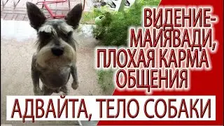 Видение - Майявади, реинкарнация, плохая карма общения, прошлые жизни!