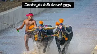 Maala Ananda Nilaya + Karkala Neklaje Kudi Kambala at Miyar | Mini Thaate + Pandu | 18/08/2024