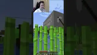 Странные желания Бава! #shorts #mrbav #Бав #майншилд2 #mineshield2 #майнкрафт #minecraft