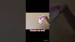 Узнали кто это? Подсказка это пет из адопта 