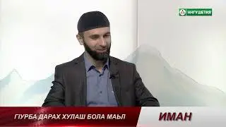 ИМАН Г1УРБА ДАРА МАЬЛ ХАЙРОВ 15062023