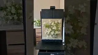 этюд в три краски