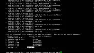 How to Install Discovery Agent for Cloud SteelHead in Linux (AWS)
