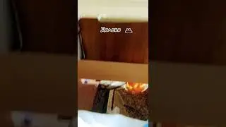 #далеко