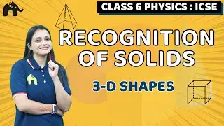 Recognition of Solids Class 6 ICSE Maths| Selina Chapter 24 | 3-D Shapes