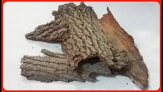 Обробка кори для тераріуму/ Обробка кори за допомогою зоофобоса/ Як прикольно обробити кору дерева.