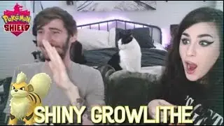 ✨SHINY GROWLITHE✨ Pokemon Shield Live Reaction