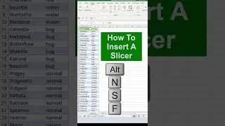 HOW TO INSERY A SLICER | #excel #window #vlookup #microsoftexcel
