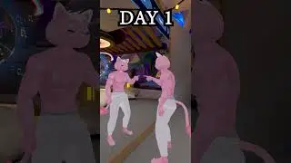VRchat in a Nutshell