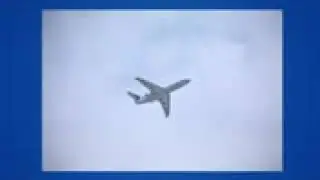 эшак прикол осел прикол