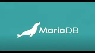 Intro to JSON in MariaDB ®