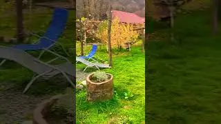 Відпочинок в Закарпатті #shorts #закарпаття @mydayua