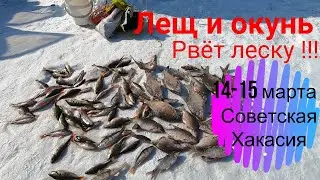 BREAM AND PERCH ON THE FISHING FISHING BOWL MARCH 14-15!!! /THE FISHING LINE IS BREAKING AND RING...