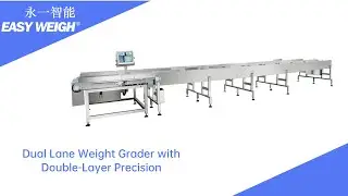 Revolutionizing Fish Fillet Sorting: Dual Lane Weight Grader with Double-Layer Precision