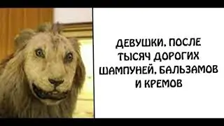 Чем моются девушки и парни