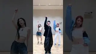 🐯