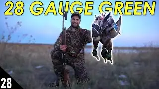 28 Gauge MALLARD Hunting! | Duck Hunting 2020