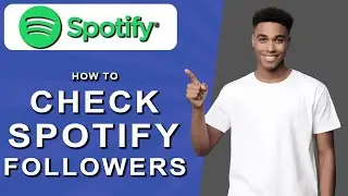 How to check spotify followers (2024)