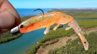 Is Fresh Fish ACTUALLY Better Than Bought?  