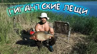 Я ЖДАЛ ИХ ДВА ДНЯ. ГИГАНТСКИЕ ЛЕЩИ. Рыбалка на поплавок