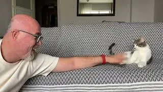 Kedi ve ben
