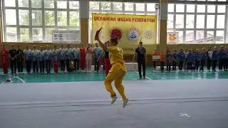 Художня  гімнастика та чемпіонат з Ушу в Бердянську
