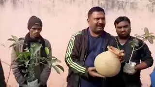 रिसेगा मटका (Matka Irrigation)तो पौधा बनेगा पेड़, पर्यावरण संरक्षण के लिए नया प्रयोग