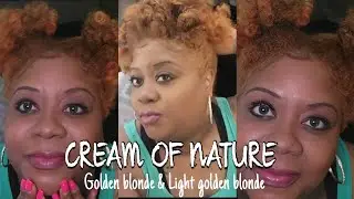 Watch me color my hair light golden blonde ft Cream of Nature #MecMomments