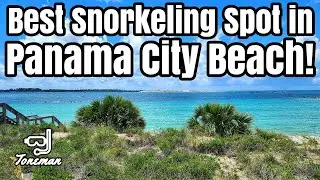 Best Snorkeling Spot in Panama City Beach!