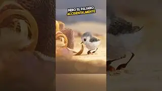 Tenía miedo a las olas hasta..❤️