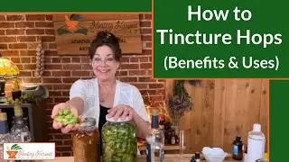 How to Tincture Hops and Benefits & Uses of Hops