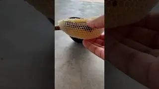 Satisfying Honey Extraction: Farm Fresh Goodness 🍯✨ #shorts #honey #honeycomb