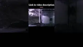 All Pond Solutions Skim 2